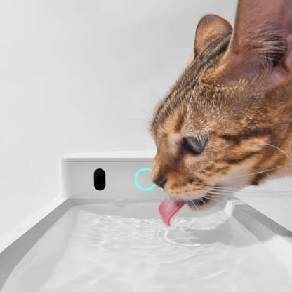 CATLINK AI Water Fountain - Wireless - Petpuro