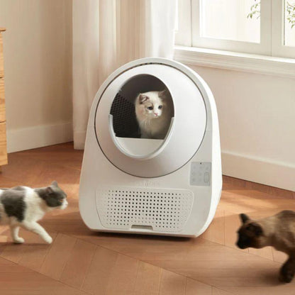 CATLINK Luxury PRO-X Automatic Self-Cleaning Cat Litter Box - Petpuro