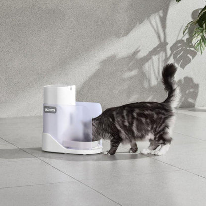 CATLINK Multi-Pet Recognition Automatic Feeder - Petpuro