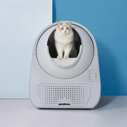 CATLINK Self-Cleaning Litter Box - Scooper Young Pro-X - Petpuro