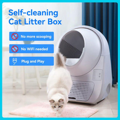 CATLINK Self-Cleaning Litter Box - Scooper Young Pro-X - Petpuro