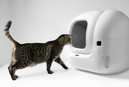 PETKIT PuraMax Automatic Self-Cleaning Litter Box - Petpuro